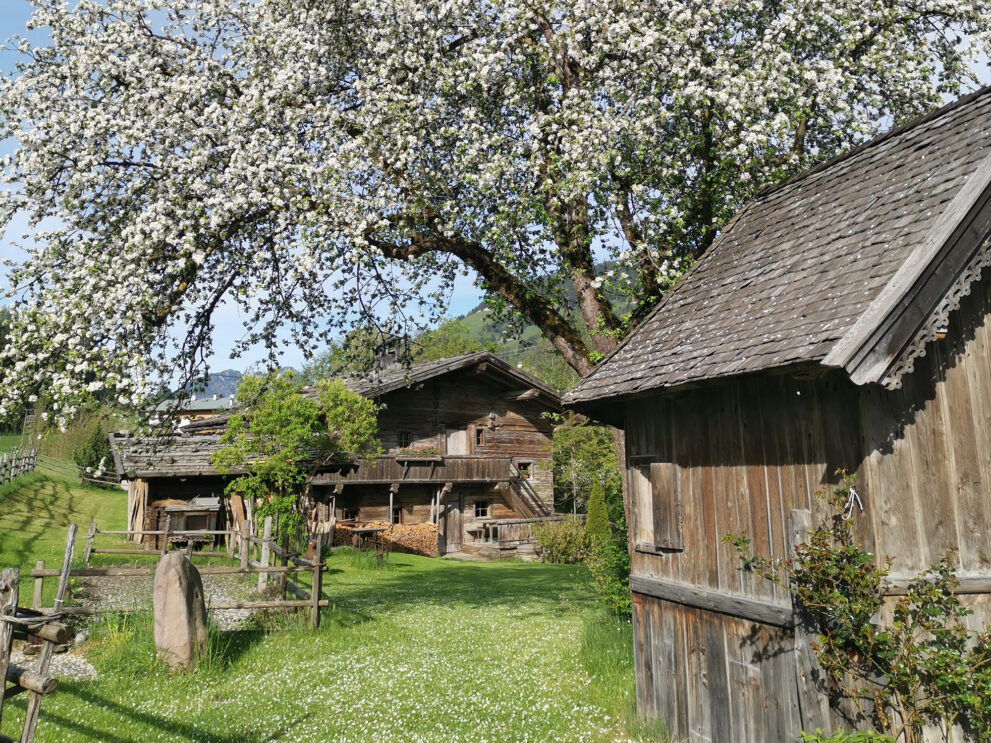 Bild32